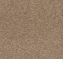 Ковролин AW Vivendi Punch 38 фото 1 | FLOORDEALER